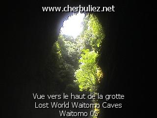 légende: Vue vers le haut de la grotte Lost World Waitomo Caves Waitomo 05
qualityCode=raw
sizeCode=half

Données de l'image originale:
Taille originale: 144601 bytes
Temps d'exposition: 1/50 s
Diaph: f/800/100
Heure de prise de vue: 2003:03:04 12:44:46
Flash: non
Focale: 75/10 mm
